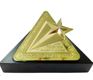 Vietnam Gold Star Award